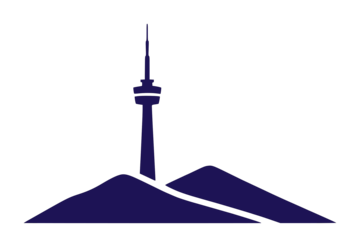 Black Mountain Consulting